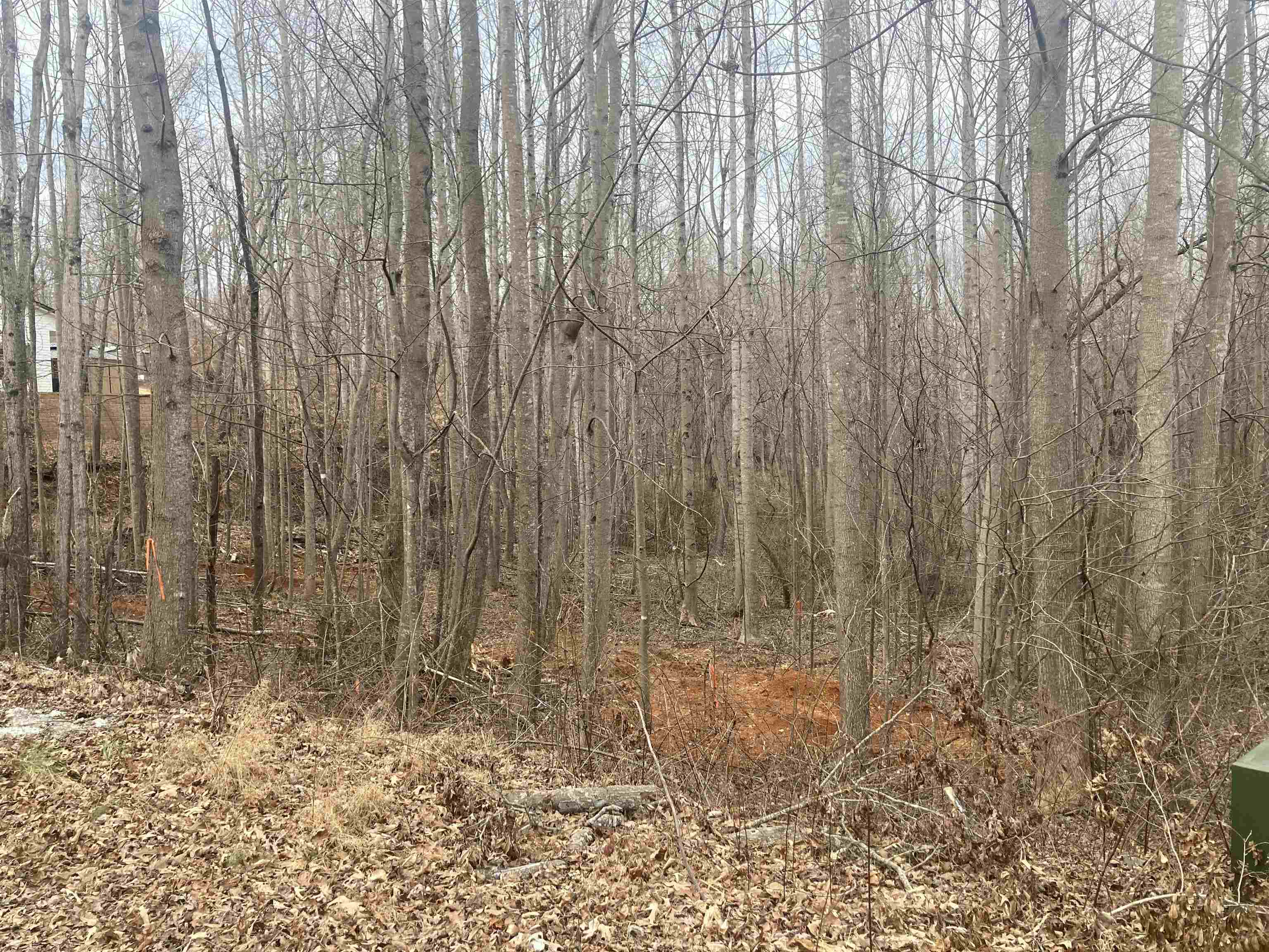 159 Rockingham Road Duncan, SC 29334 - Photo 2 of 8