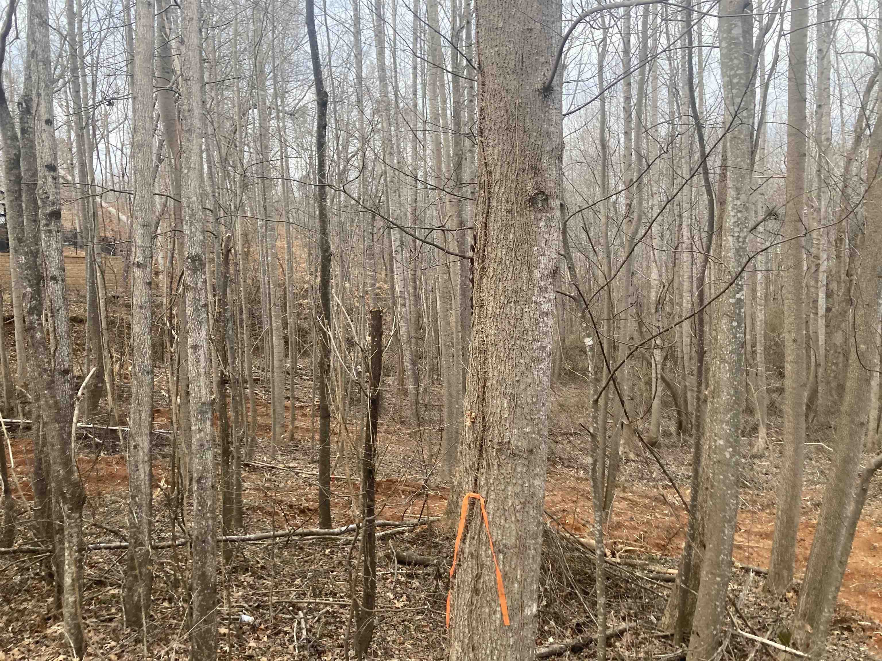 159 Rockingham Road Duncan, SC 29334 - Photo 3 of 8