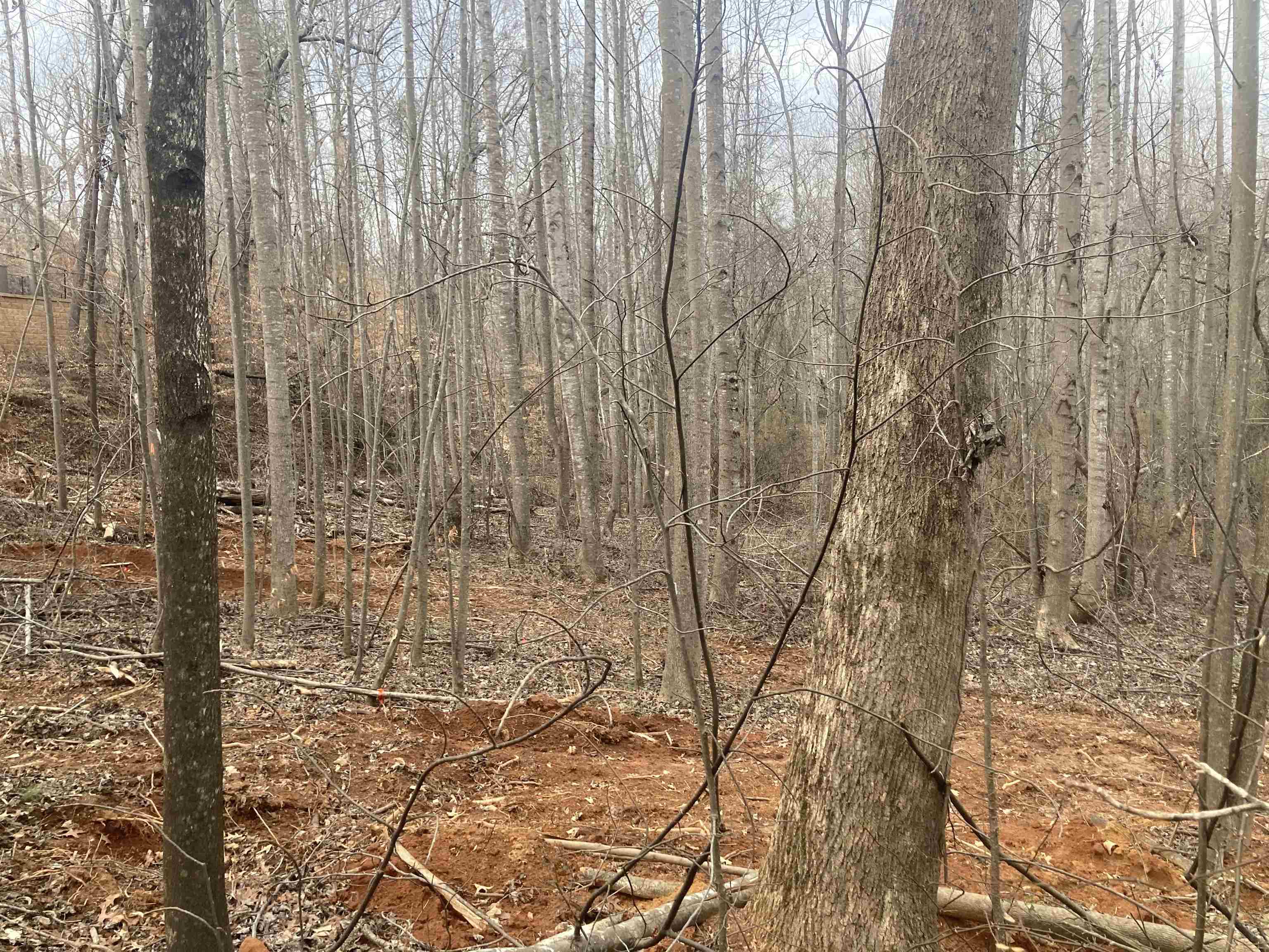 159 Rockingham Road Duncan, SC 29334 - Photo 5 of 8