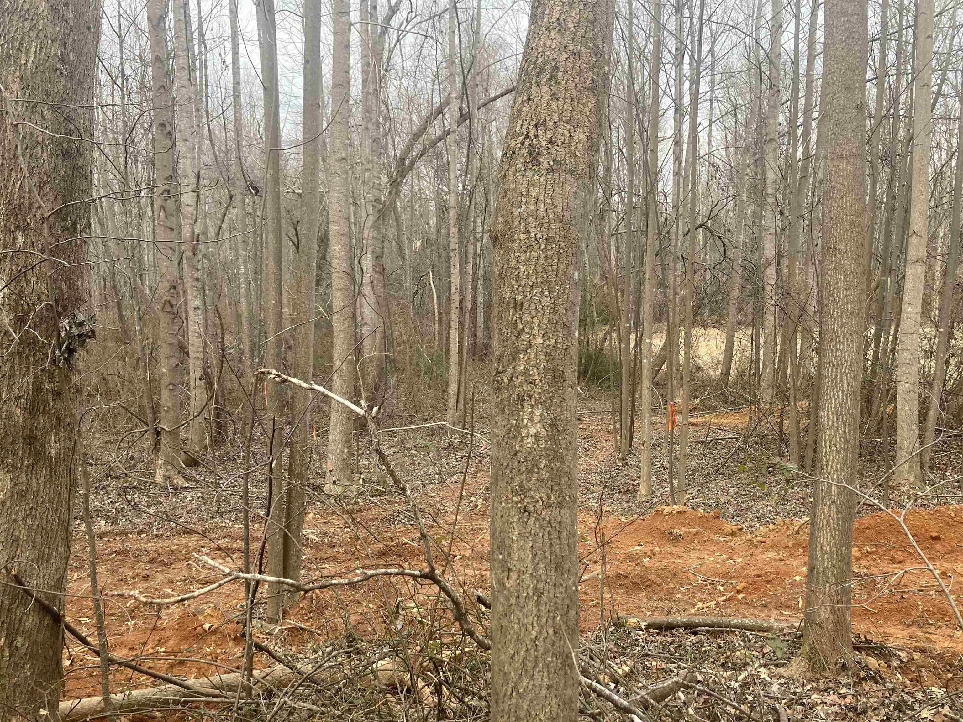 159 Rockingham Road Duncan, SC 29334 - Photo 6 of 8