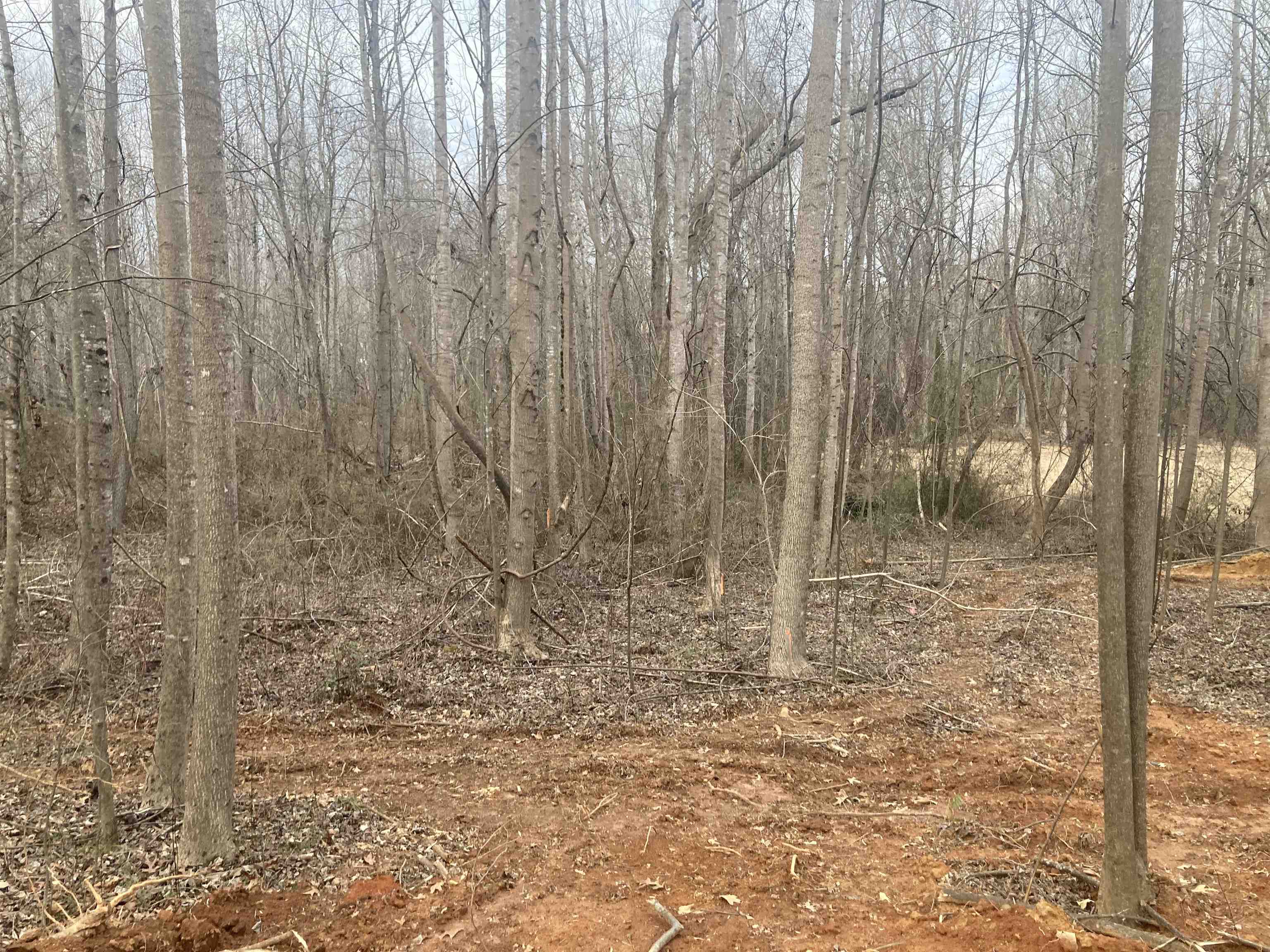 159 Rockingham Road Duncan, SC 29334 - Photo 7 of 8