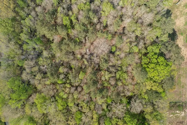 $99,000 | 144 Don Curt Boulevard, Ellisville, MS 39437