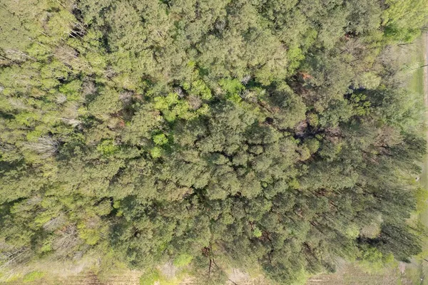 $99,000 | 144 Don Curt Boulevard, Ellisville, MS 39437