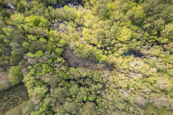 $99,000 | 144 Don Curt Boulevard, Ellisville, MS 39437