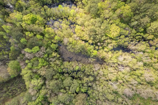 $99,000 | 144 Don Curt Boulevard, Ellisville, MS 39437