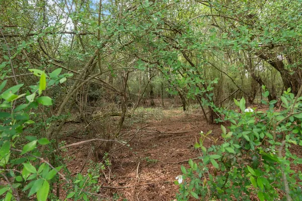 $99,000 | 144 Don Curt Boulevard, Ellisville, MS 39437