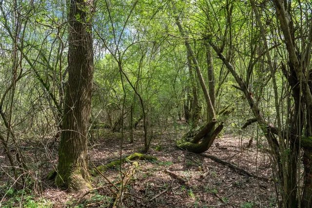 $99,000 | 144 Don Curt Boulevard, Ellisville, MS 39437