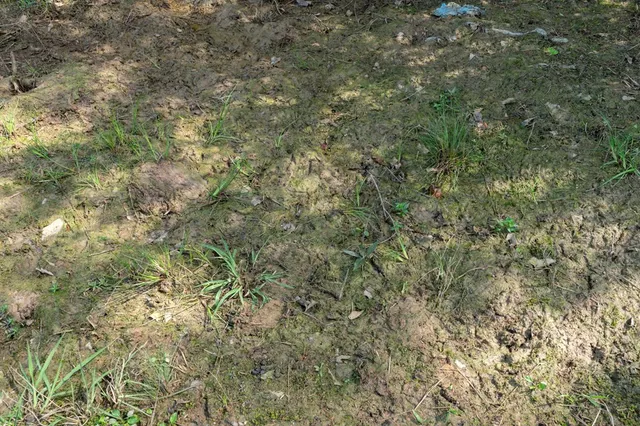 $99,000 | 144 Don Curt Boulevard, Ellisville, MS 39437