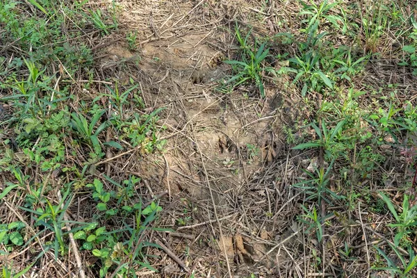 $99,000 | 144 Don Curt Boulevard, Ellisville, MS 39437