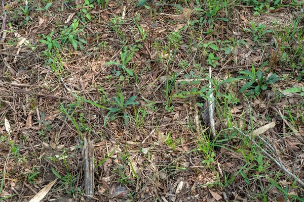 $99,000 | 144 Don Curt Boulevard, Ellisville, MS 39437