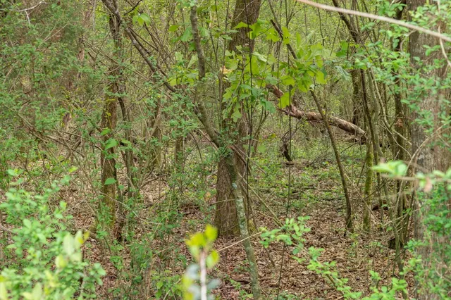 $99,000 | 144 Don Curt Boulevard, Ellisville, MS 39437