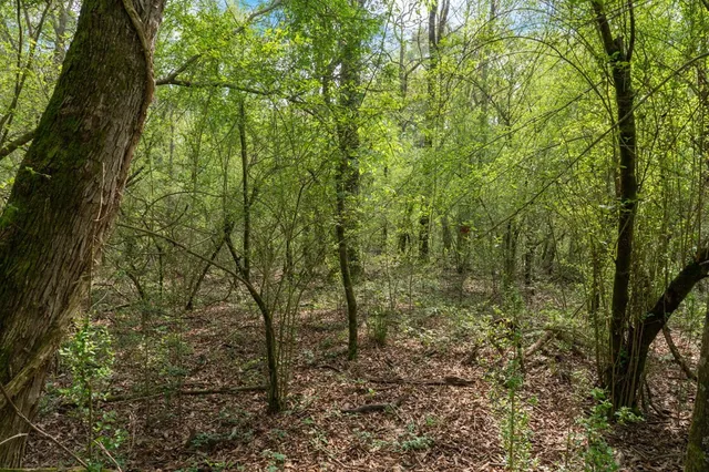 $99,000 | 144 Don Curt Boulevard, Ellisville, MS 39437