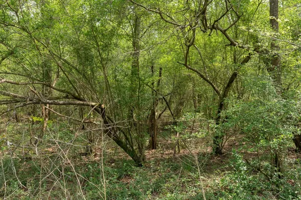 $99,000 | 144 Don Curt Boulevard, Ellisville, MS 39437