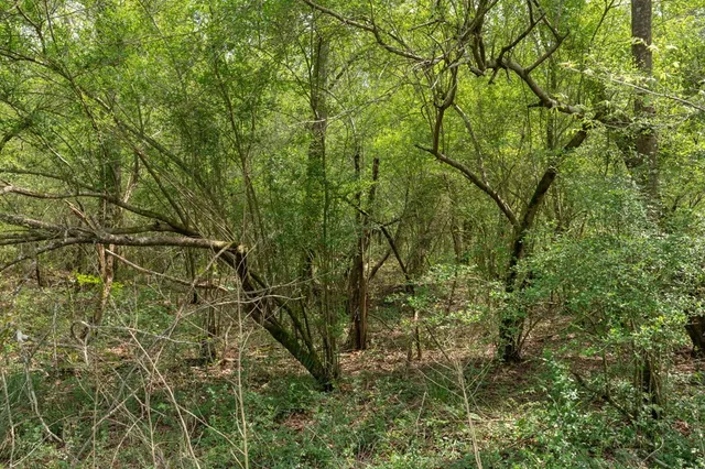 $99,000 | 144 Don Curt Boulevard, Ellisville, MS 39437