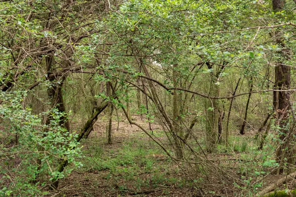 $99,000 | 144 Don Curt Boulevard, Ellisville, MS 39437