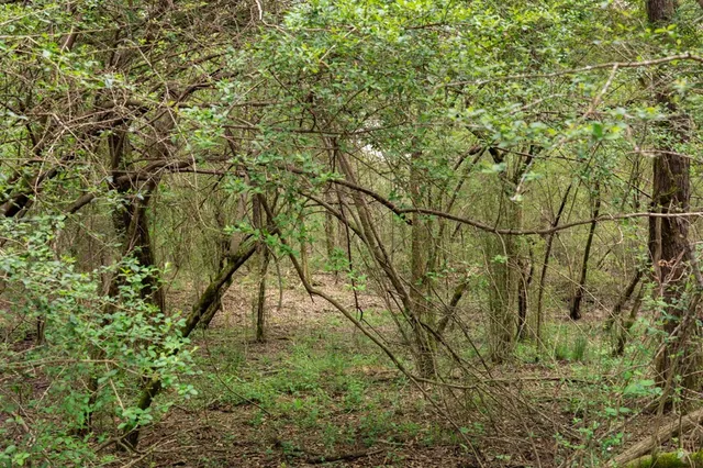 $99,000 | 144 Don Curt Boulevard, Ellisville, MS 39437