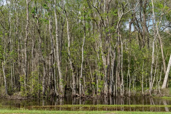 $99,000 | 144 Don Curt Boulevard, Ellisville, MS 39437