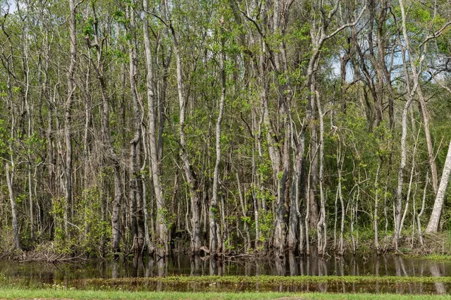 $99,000 | 144 Don Curt Boulevard, Ellisville, MS 39437