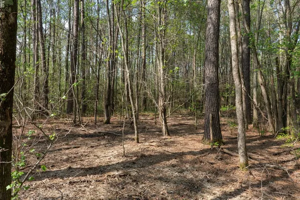 $99,000 | 144 Don Curt Boulevard, Ellisville, MS 39437