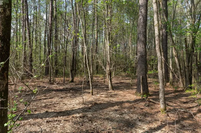 $99,000 | 144 Don Curt Boulevard, Ellisville, MS 39437