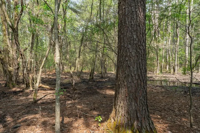 $99,000 | 144 Don Curt Boulevard, Ellisville, MS 39437