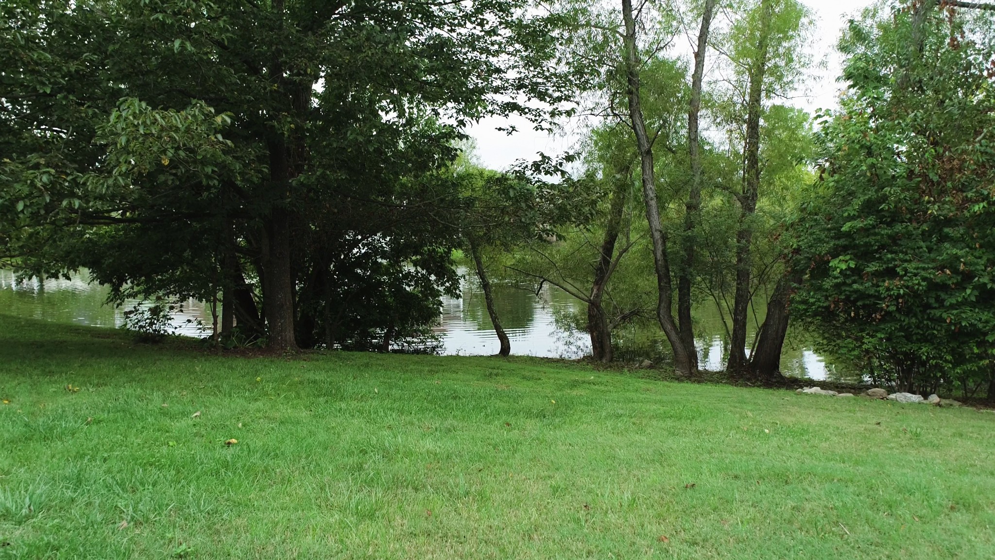 665 Springlake Drive Franklin, TN 37064 - Photo 3 of 41 a view of a park