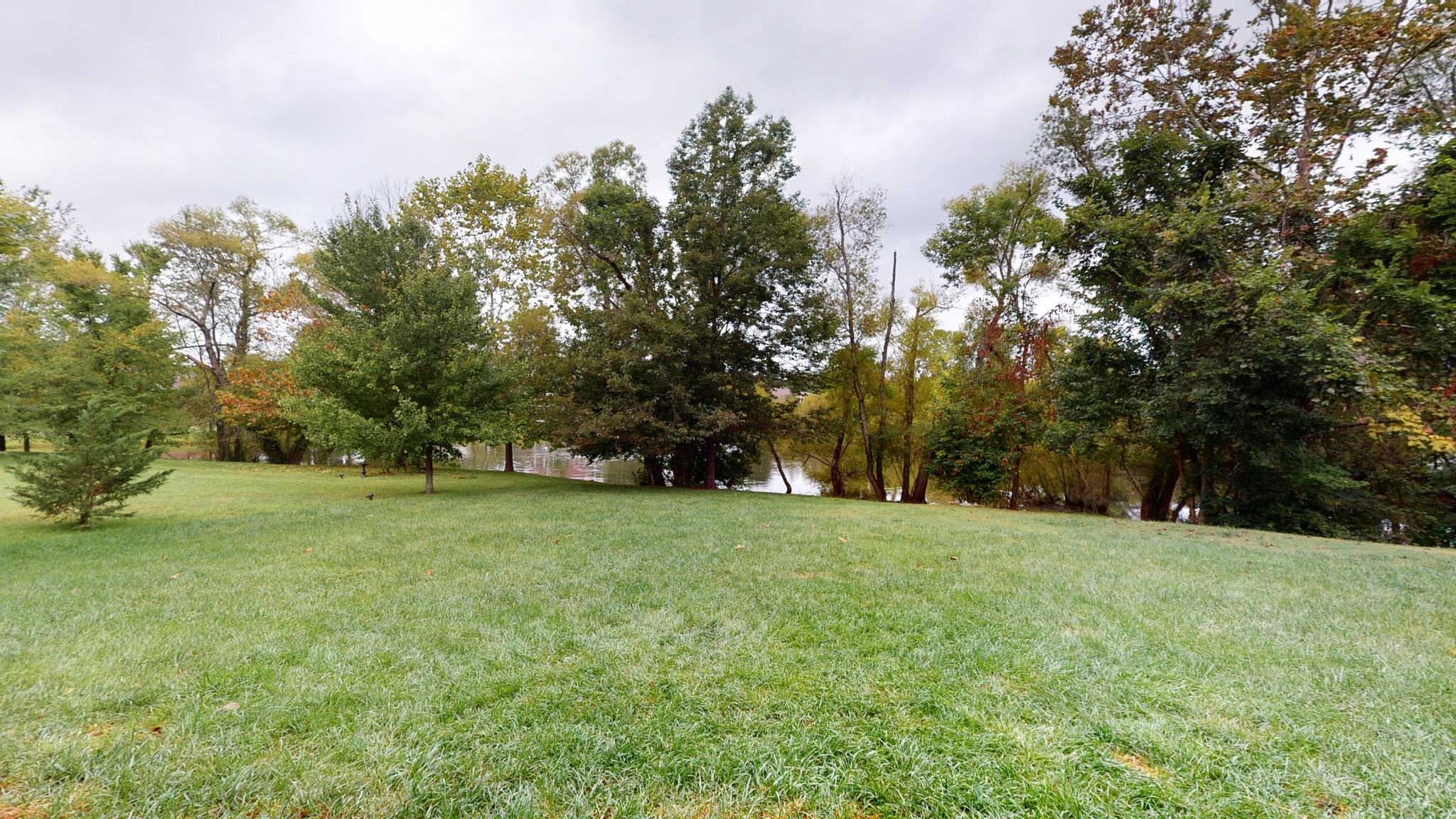 665 Springlake Drive Franklin, TN 37064 - Photo 39 of 41 a view of a trees with a big yard