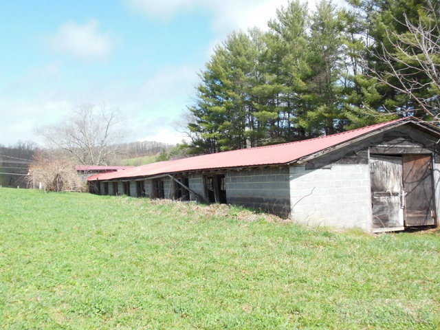 849 Big Hill Road Boone, NC 28607 - Photo 4 of 13 Gallery Image 4