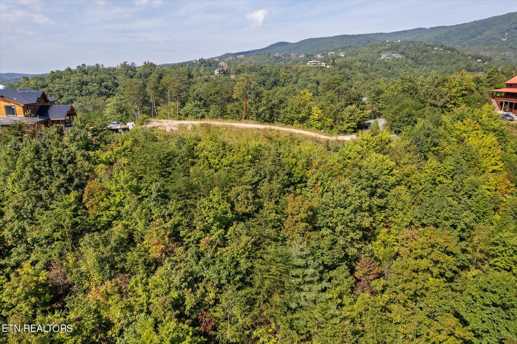 Crown Point Lane Sevierville, TN 37862 - Photo 11 of 13 4-DJI_0011