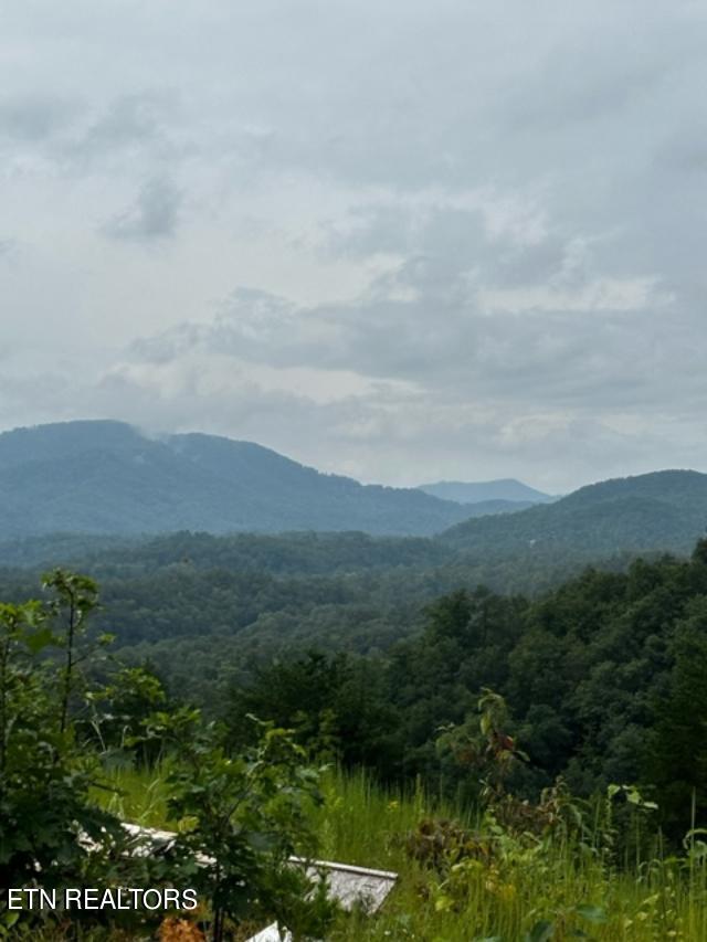 Crown Point Lane Sevierville, TN 37862 - Photo 4 of 13 crown 2