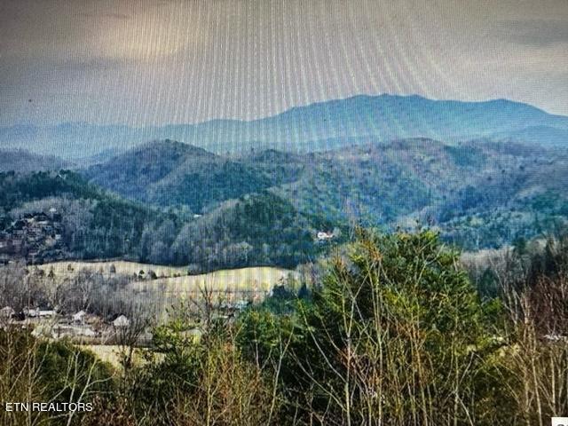 Crown Point Lane Sevierville, TN 37862 - Photo 5 of 13 crown3