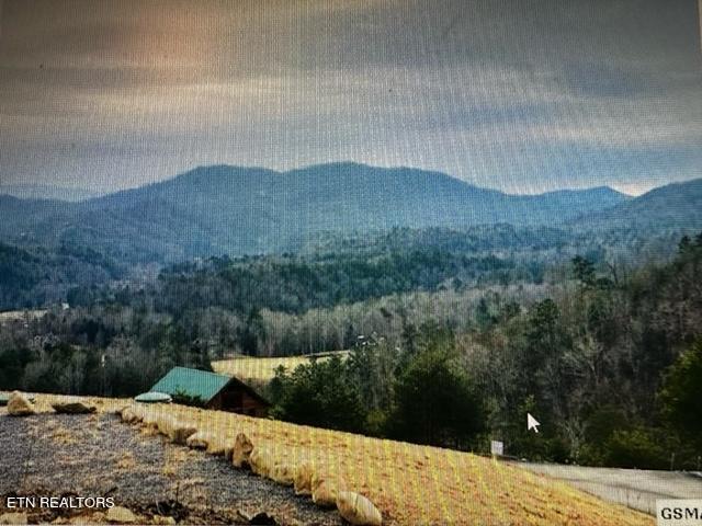 Crown Point Lane Sevierville, TN 37862 - Photo 6 of 13 crown4