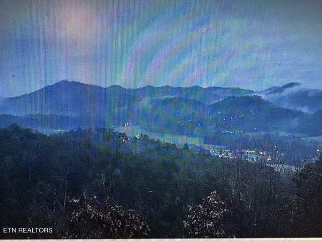 Crown Point Lane Sevierville, TN 37862 - Photo 8 of 13 crown 6