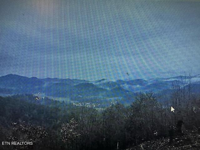 Crown Point Lane Sevierville, TN 37862 - Photo 9 of 13 crown 7