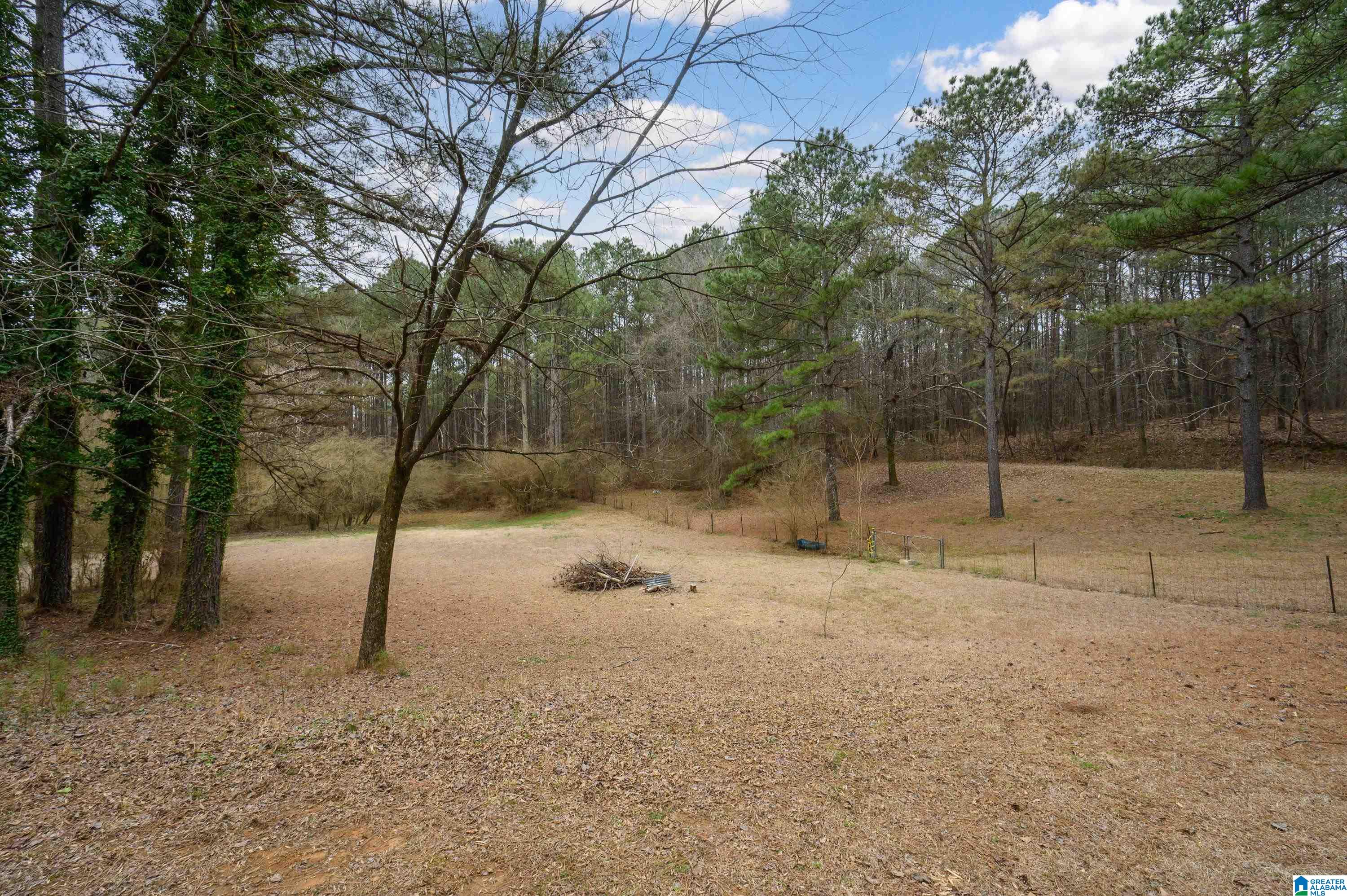 355 Whitlow Road Sumiton, AL 35148 - Photo 45 of 58