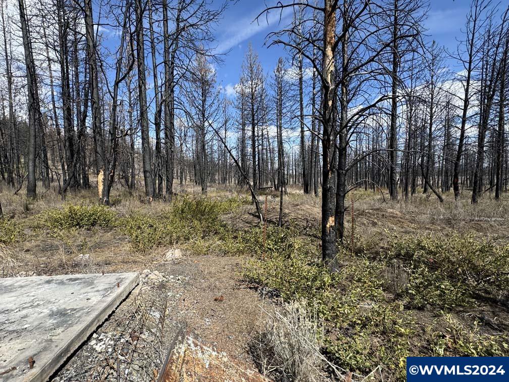 800 Nf 4464 Road Chiloquin, OR 97624 - Photo 5 of 25
