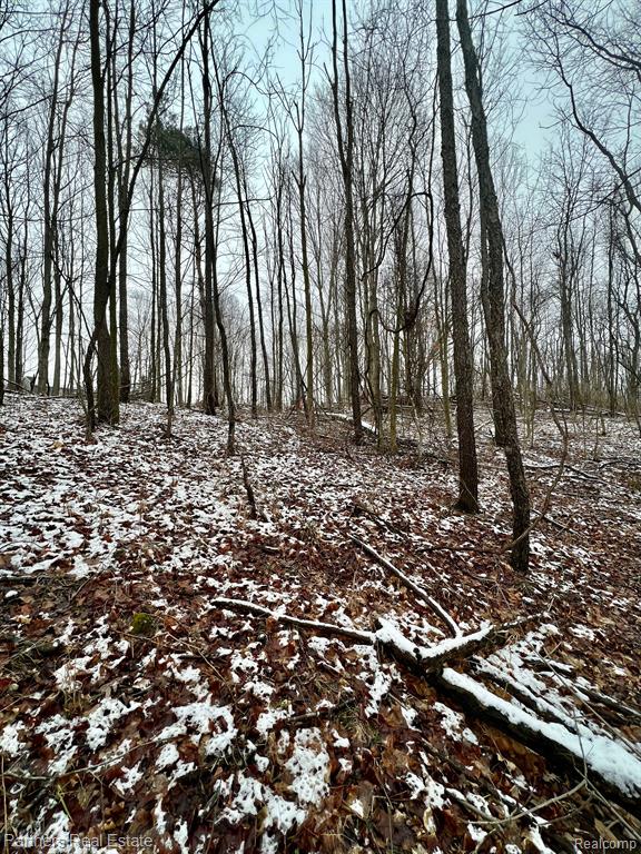 V/l Harper Road Mason, MI 48854 - Photo 25 of 26