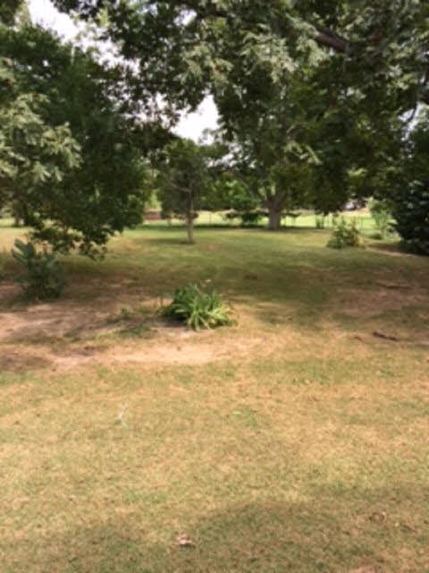 45780 Red Hill Road Bay Minette, AL 36507 - Photo 3 of 7 Back Yard