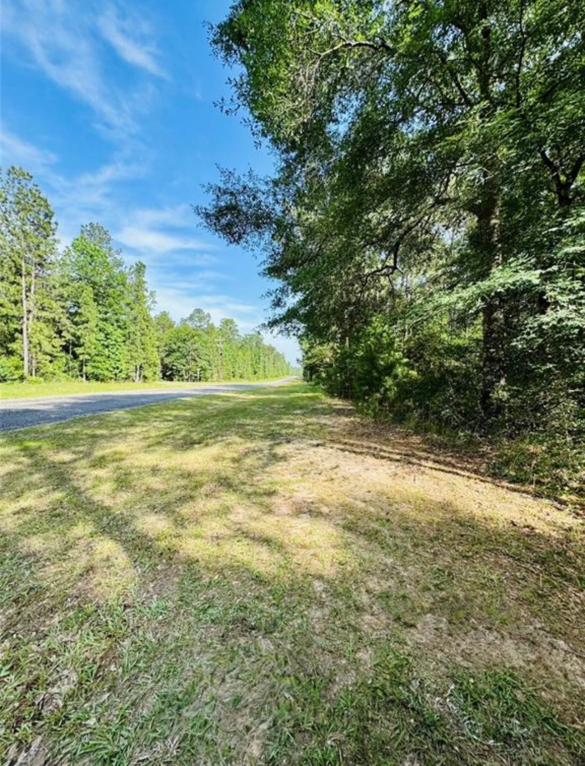 13-a-1-1 Texas Grand Road Huntsville, TX 77340 - Photo 5 of 6 a view of a yard with a tree