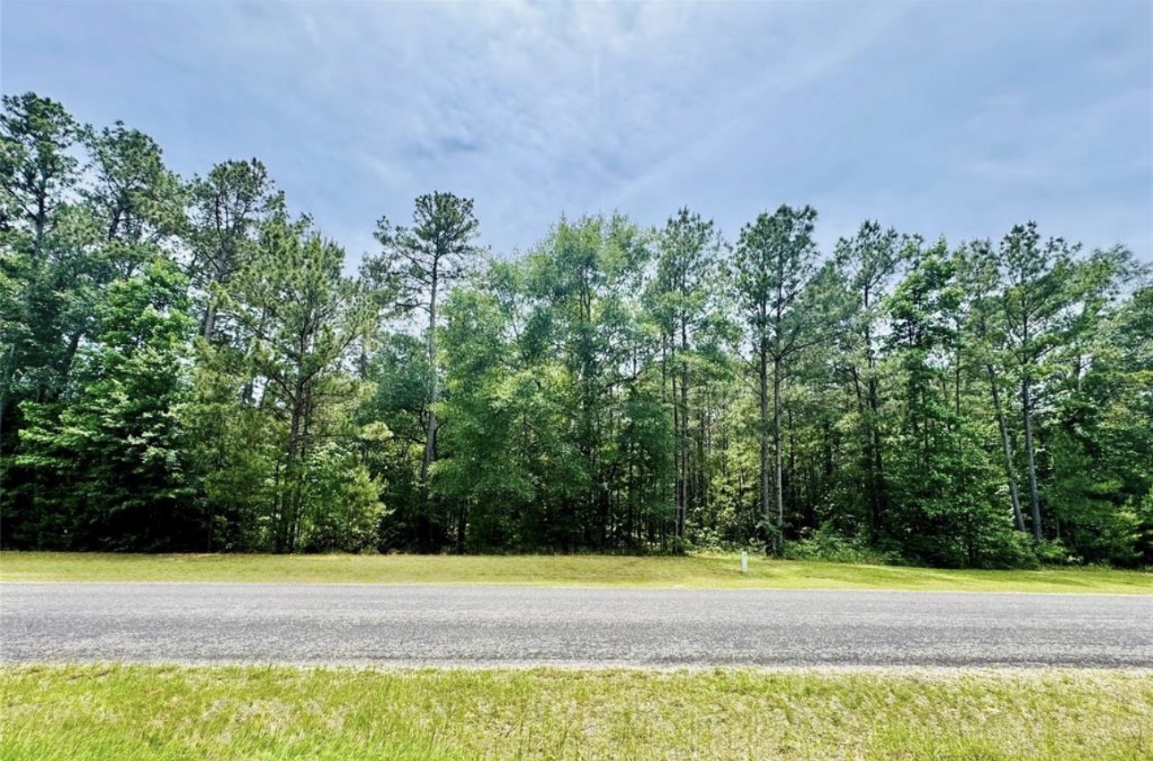 13-a-1-1 Texas Grand Road Huntsville, TX 77340 - Photo 6 of 6 a view of a yard with an outdoor space