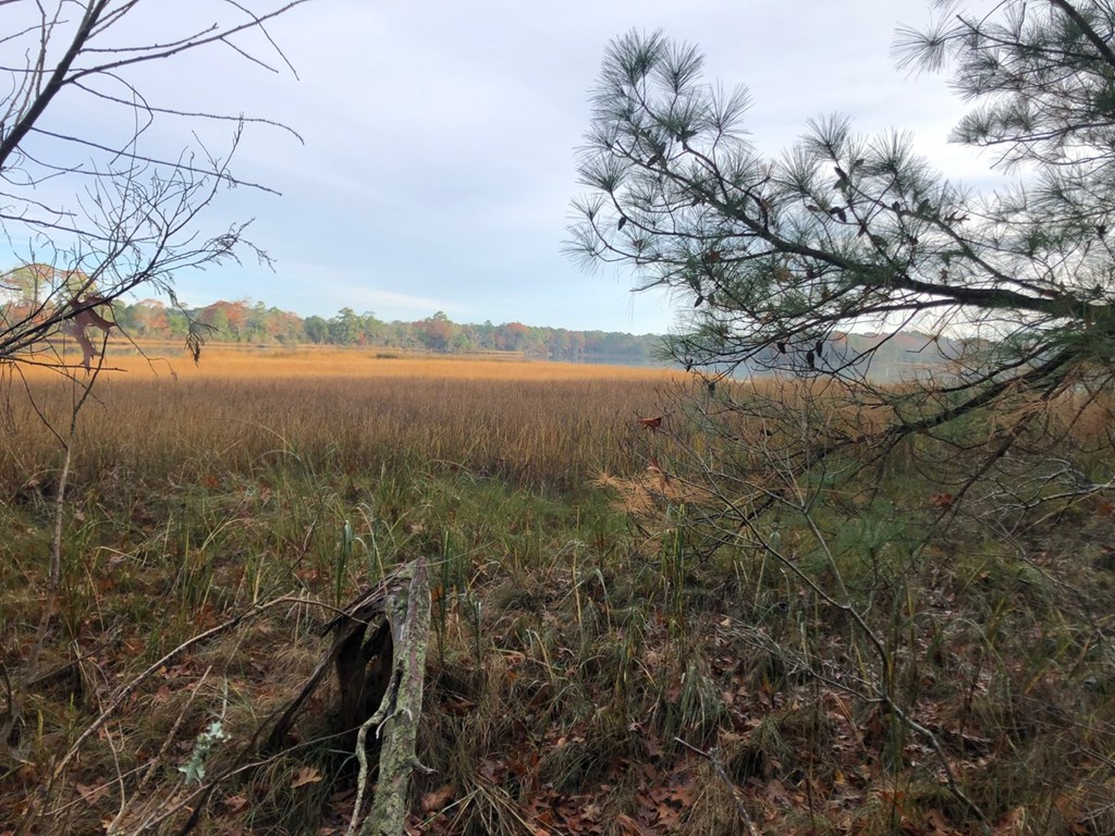 Lot 7 Lucas Trail, Unit 7 Machipongo, VA 23405 - Photo 10 of 11