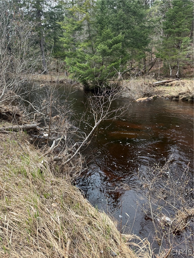 96 West Road Forestport, NY 13338 - Photo 2 of 11