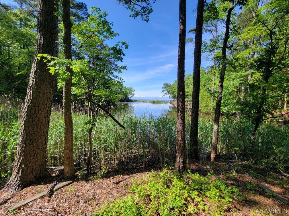 Lot 7 Sandy Beach Road Heathsville, VA 22473 - Photo 8 of 11 Gallery Image 8