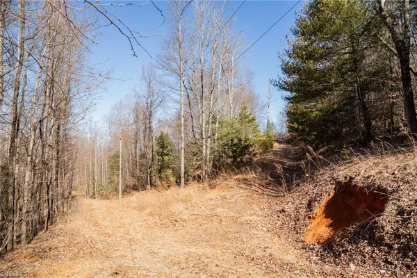 $35,000 | Lot 6 Green Point Lane, Boomer, NC 28606