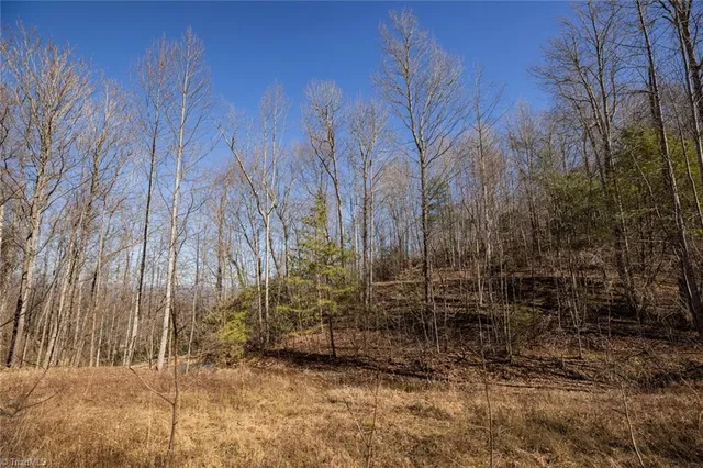 $57,000 | Lot 6 Green Point Lane, Boomer, NC 28606