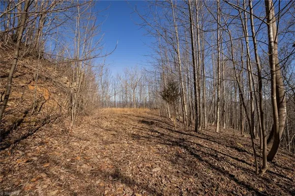 $35,000 | Lot 6 Green Point Lane, Boomer, NC 28606