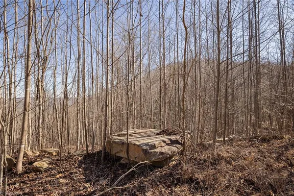 $35,000 | Lot 6 Green Point Lane, Boomer, NC 28606