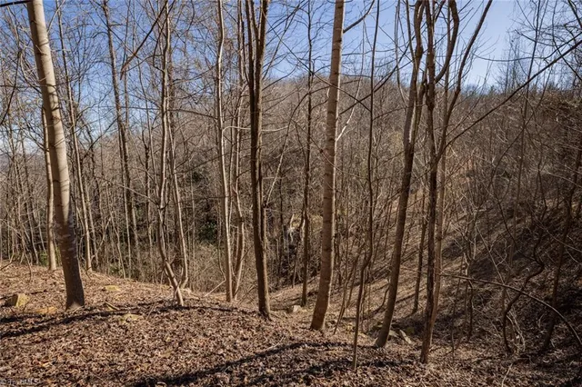 $57,000 | Lot 6 Green Point Lane, Boomer, NC 28606