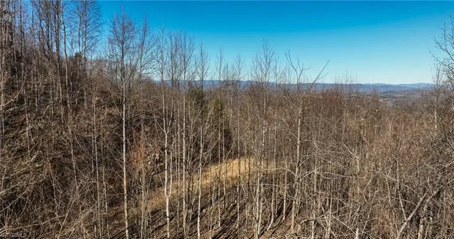 $57,000 | Lot 6 Green Point Lane, Boomer, NC 28606