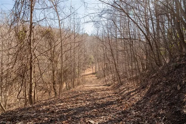 $35,000 | Lot 6 Green Point Lane, Boomer, NC 28606
